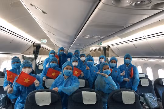 Đưa gần 300 công dân Việt Nam từ Canada trở về nước