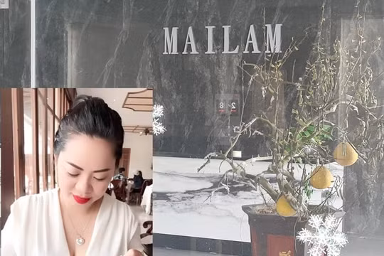 Khởi tố vụ án nữ đại gia gỗ ở Hải Phòng lừa đảo góp vốn 900 tỷ đồng