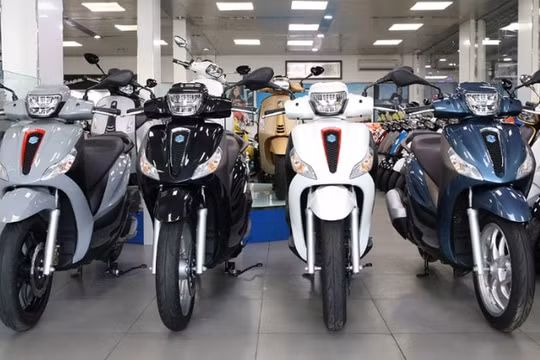 Giá xe Piaggio tháng 11/2020