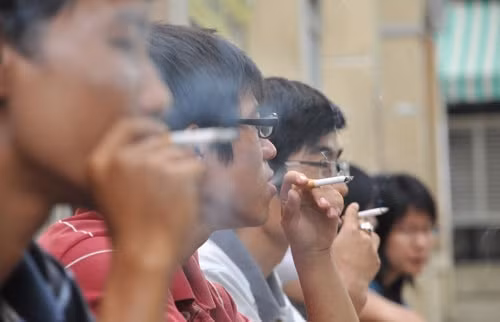 Sẽ thí điểm phần mềm giám sát vi phạm quy định phòng, chống tác hại thuốc lá tại Hà Nội