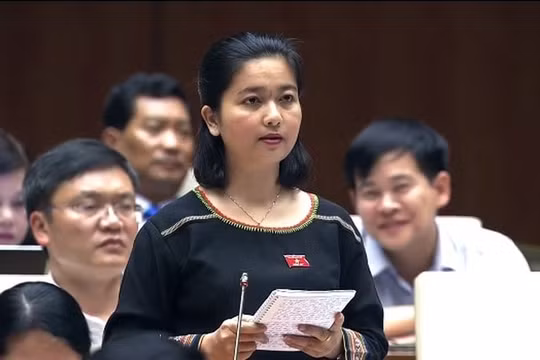 Đại biểu Quốc hội: Diện tích rừng tăng từ 9 lên 14 triệu là đáng phấn khởi, nhưng con số này rất “vô lý”!