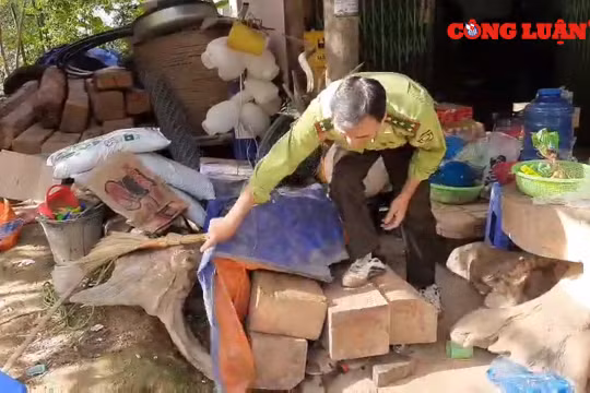 Mộc Châu ( Sơn La): Tăng cường xử lý các hành vi khai thác rừng trái phép