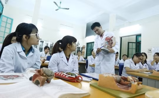 Thành lập Hội đồng thẩm định nhiệm vụ lập Quy hoạch cơ sở giáo dục đại học và sư phạm