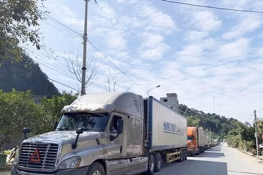 Bộ Nông nghiệp đề xuất nhiều giải pháp hỗ trợ xuất khẩu nông sản