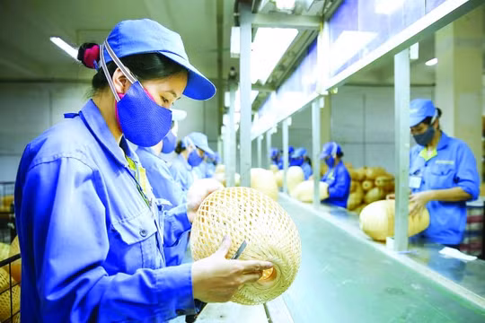Tạo động lực tăng trưởng mới trước “bẫy kinh tế Covid-19”