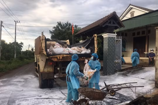 Đắk Lắk: Xuất hiện 3 ổ dịch cúm A (H5N6) trên gia cầm