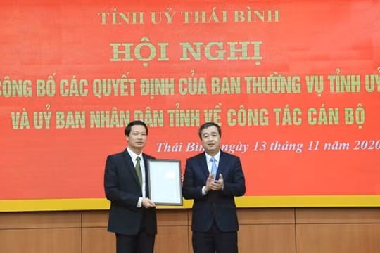 Thái Bình bổ nhiệm Trưởng Ban Nội chính Tỉnh ủy