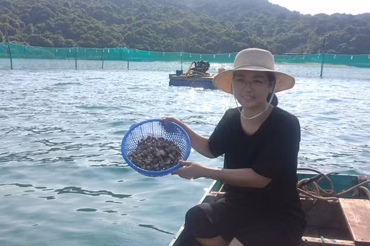 Phía sau phóng sự truyền thanh làm lay động khán thính giả