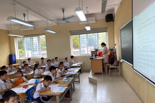 Trường Tiểu học Tân Triều khẳng định GVCN không đánh học sinh