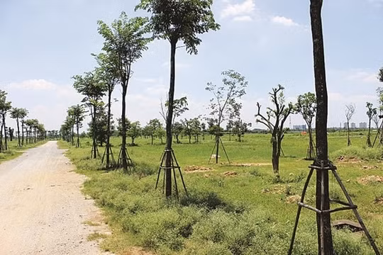Bất cập trong quy định ‘đất ở’ tại dự án nhà ở hỗn hợp
