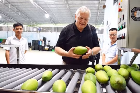 Chuyên gia Hoa Kỳ trở lại Việt Nam kiểm dịch trái cây xuất khẩu
