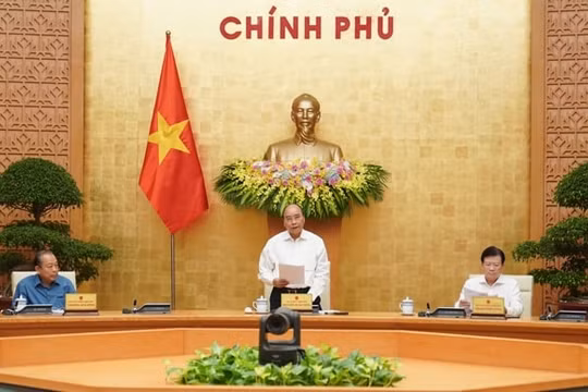 Xử lý dứt điểm tình trạng nợ đọng văn bản thi hành luật trong tháng 9/2020