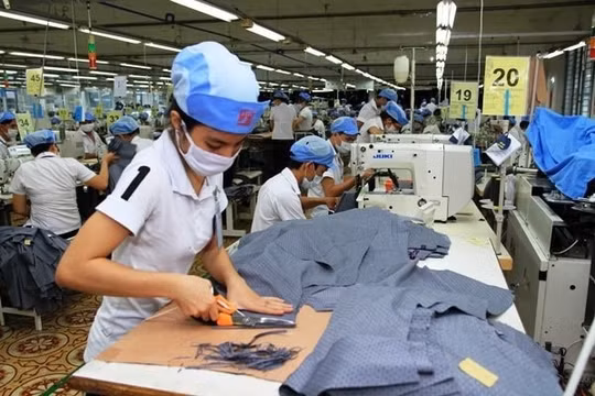 Thực hiện Tổng điều tra kinh tế từ 1/3/2021