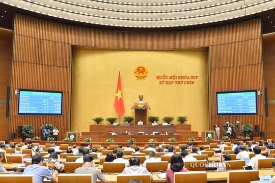 Xây dựng cầu qua sông phải bảo đảm thoát lũ, thông thoáng dòng chảy