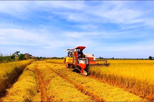 Nông nghiệp Việt Nam biến thách thức thành cơ hội