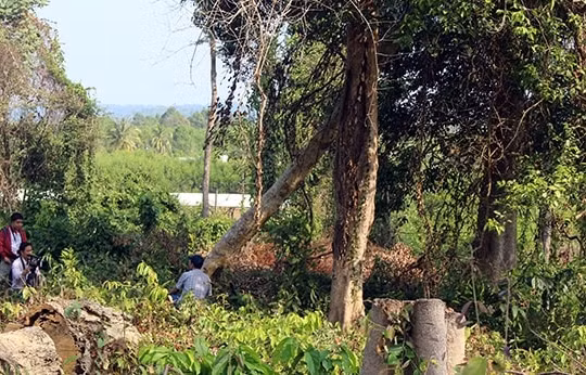 Kỷ luật cảnh cáo nguyên Giám đốc liên quan vụ phá rừng tại Đồng Nai