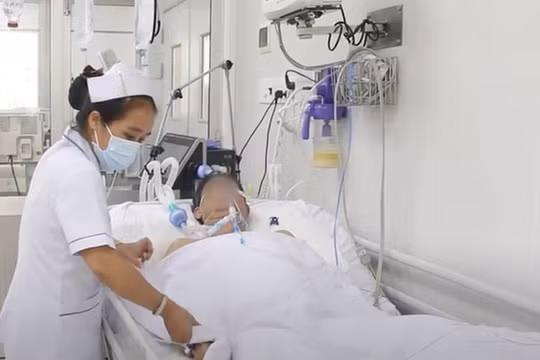 TP.HCM: Thêm 1 bệnh nhân ngộ độc pate Minh Chay nhập viện khẩn cấp