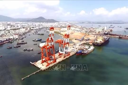 Xử lý xong các nội dung tố cáo tại Cảng Quy Nhơn trong quý III