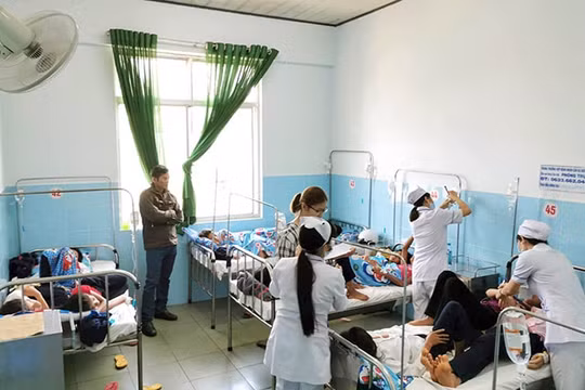 Ngộ độc tập thể ở Lâm Đồng, hơn 100 học sinh đã xuất viện