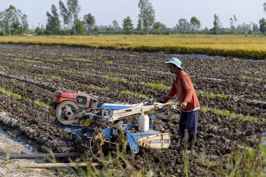 Cần sớm sửa đổi Luật thuế 71 vì một nền nông nghiệp bền vững