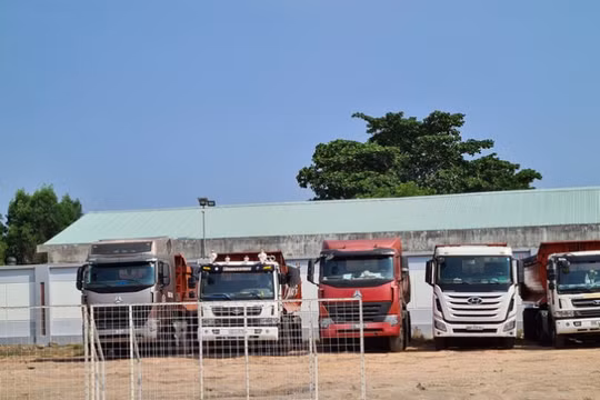 Đồng Nai xử lý 'xe vua', tịch thu bán đấu giá 727 tấn than đá nhập lậu