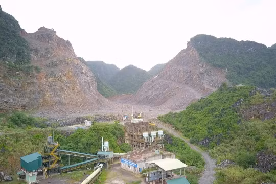 Công ty CP xi măng Hệ Dưỡng (Ninh Bình) khai thác khoáng sản trên đất rừng đặc dụng ?