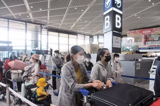 Đưa hơn 350 công dân Việt Nam từ Nhật Bản về nước