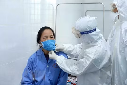 Thêm 5 ca mắc mới COVID-19, trong đó có 1 tiếp viên hàng không