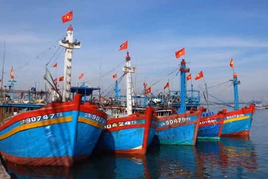 Vụ tàu cá Việt bị tàu Indonesia truy đuổi, 4 ngư dân vẫn mất tích