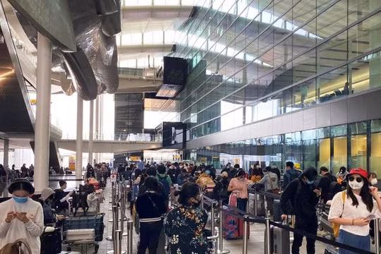 Hơn 300 công dân Việt tại Anh hồi hương an toàn