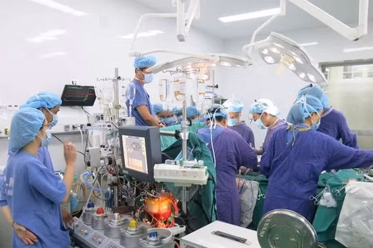 Kỷ lục ghép tạng tại Bệnh viện Việt Đức: Cho đi là còn mãi