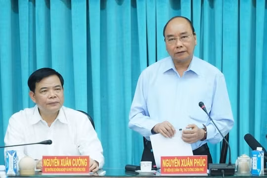 Thủ tướng: Không để hộ dân nào có nguy cơ thiếu đói, thiếu nước sinh hoạt