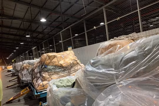 Niêm phong hơn 4 tấn nghi nhập lậu qua đường hàng không