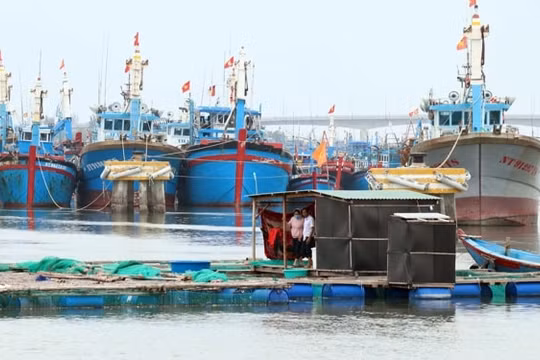 Ninh Thuận thành lập 3 đoàn kiểm tra công tác ứng phó bão số 12