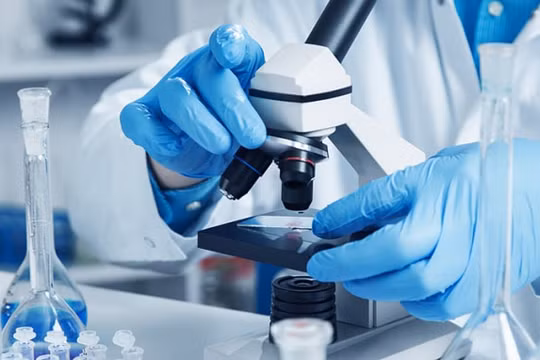 Viện Pasteur Nha Trang dừng nhận mẫu xét nghiệm, Khánh Hòa 'loay hoay'