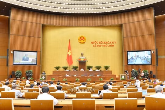 Quốc hội thảo luận về thí điểm tổ chức mô hình chính quyền đô thị tại Đà Nẵng