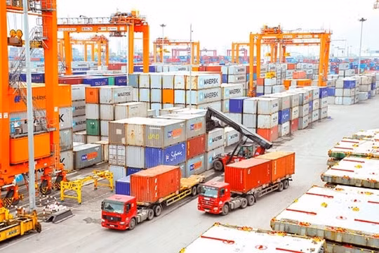 Doanh nghiệp được tự chứng nhận xuất xứ hàng hóa khi xuất khẩu vào EU