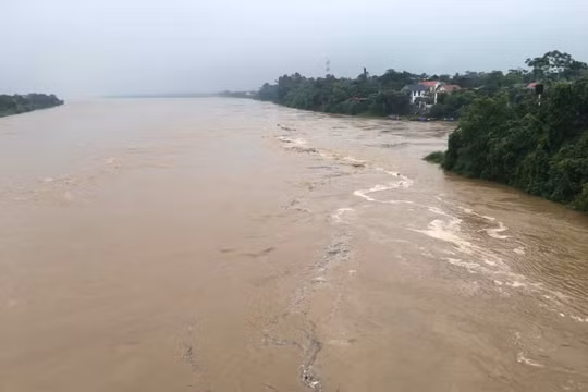 Phú Thọ: Báo động mực nước dâng cao trên sông Thao