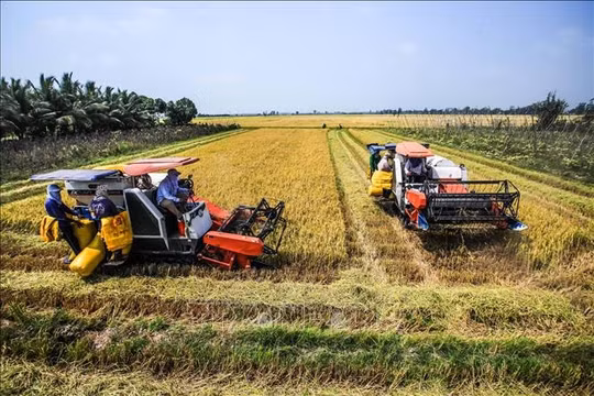 Triển khai giải pháp để tăng trưởng vùng ĐBSCL không thấp hơn trung bình cả nước