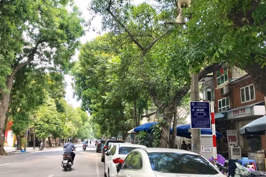 Hàng loạt những bất cập lộ rõ khi triển khai ứng dụng điểm đỗ xe thông minh iParking