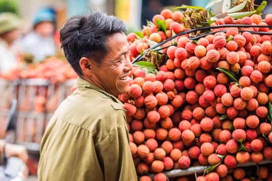 Hoa quả Việt Nam chinh phục các thị trường 'khó tính'