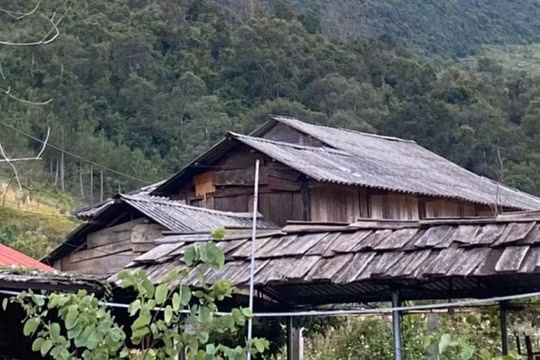 Sơn La: Nghịch tử giết bố rồi trốn vào rừng ăn lá ngón tự tử