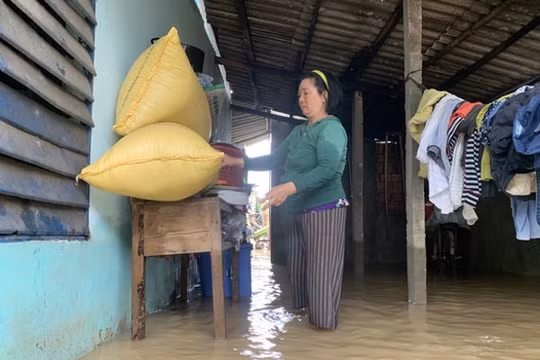 Quảng Ngãi: Mưa lũ làm 1 người chết, 1 người mất tích