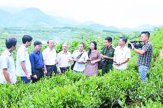 Tin yêu và trăn trở...