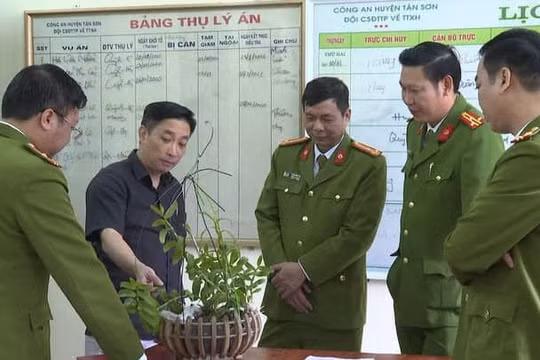 Phú Thọ: Bắt giữ ổ nhóm lừa bán lan đột biến hòng chiếm đoạt hơn 1 tỷ đồng