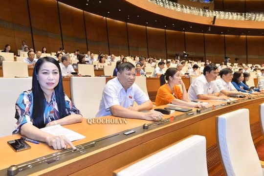 Thời sự 24H ngày 12/6: Phê chuẩn danh sách Phó Chủ tịch và Ủy viên Hội đồng Bầu cử quốc gia