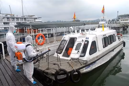 Ca nhiễm COVID-19 số 333 là thuyền viên tàu thủy Pacific Vũng Tàu