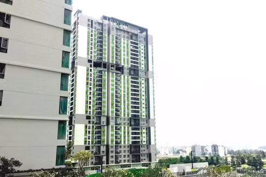 Căn hộ cho khách ngoại thuê: Cầm cự cho qua mùa dịch Covid-19