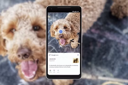 Bạn có thể tìm kiếm hình ảnh trên thiết bị Android thông qua ứng dụng Google Lens
