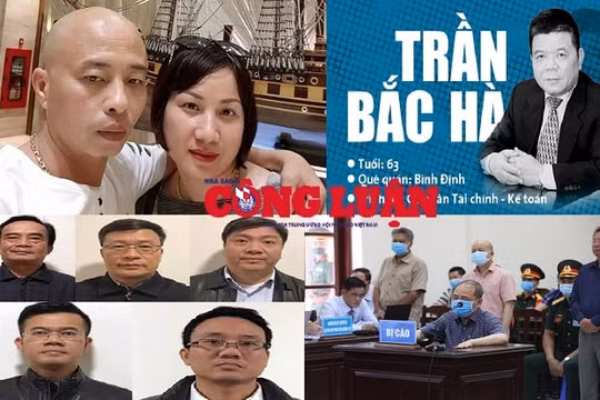 Bản tin pháp luật 8H: Cử tri lên án trục lợi thiết bị y tế, băng nhóm tội phạm núp bóng doanh nghiệp